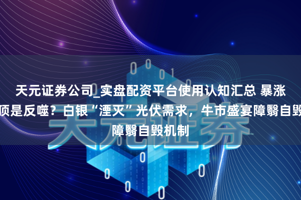 天元证券公司_实盘配资平台使用认知汇总 暴涨的绝顶是反噬？白银“湮灭”光伏需求，牛市盛宴障翳自毁机制