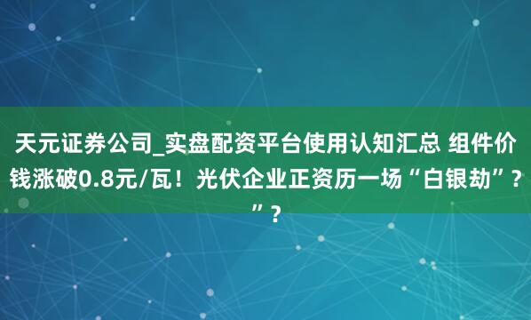 天元证券公司_实盘配资平台使用认知汇总 组件价钱涨破0.8元/瓦！光伏企业正资历一场“白银劫”？