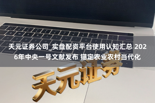 天元证券公司_实盘配资平台使用认知汇总 2026年中央一号文献发布 锚定农业农村当代化