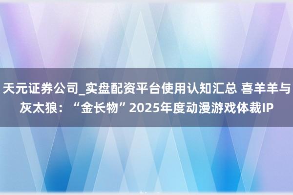天元证券公司_实盘配资平台使用认知汇总 喜羊羊与灰太狼：“金长物”2025年度动漫游戏体裁IP
